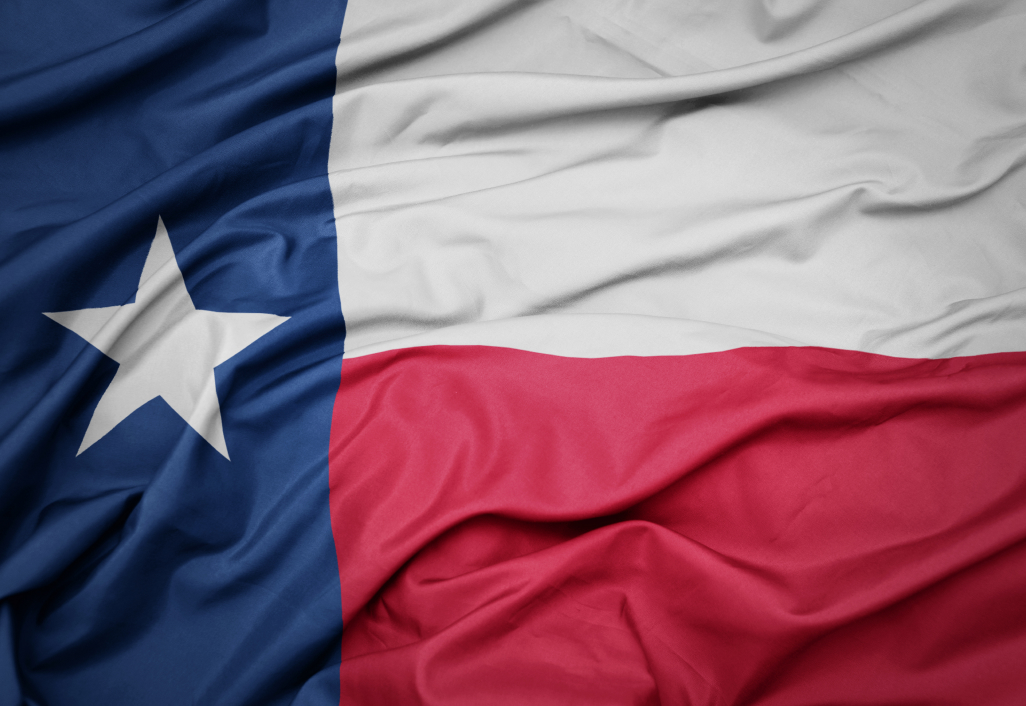 Hillary Hickland, Conservative Republican for State Representative - Priorities Image